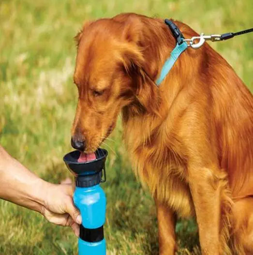 Water Bottle for Pets
