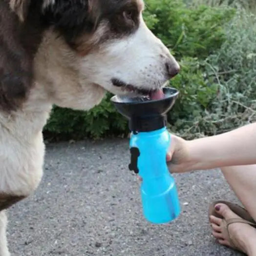 Water Bottle for Pets