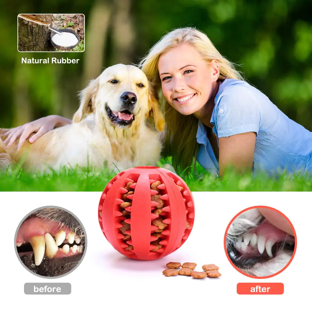 Pet Treat & Dental Care Balls